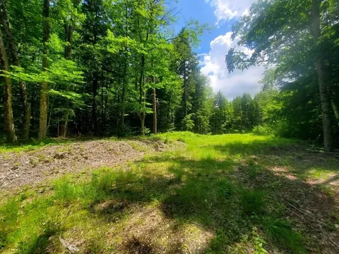 Gordon Hill Road New Hampton NH 03256