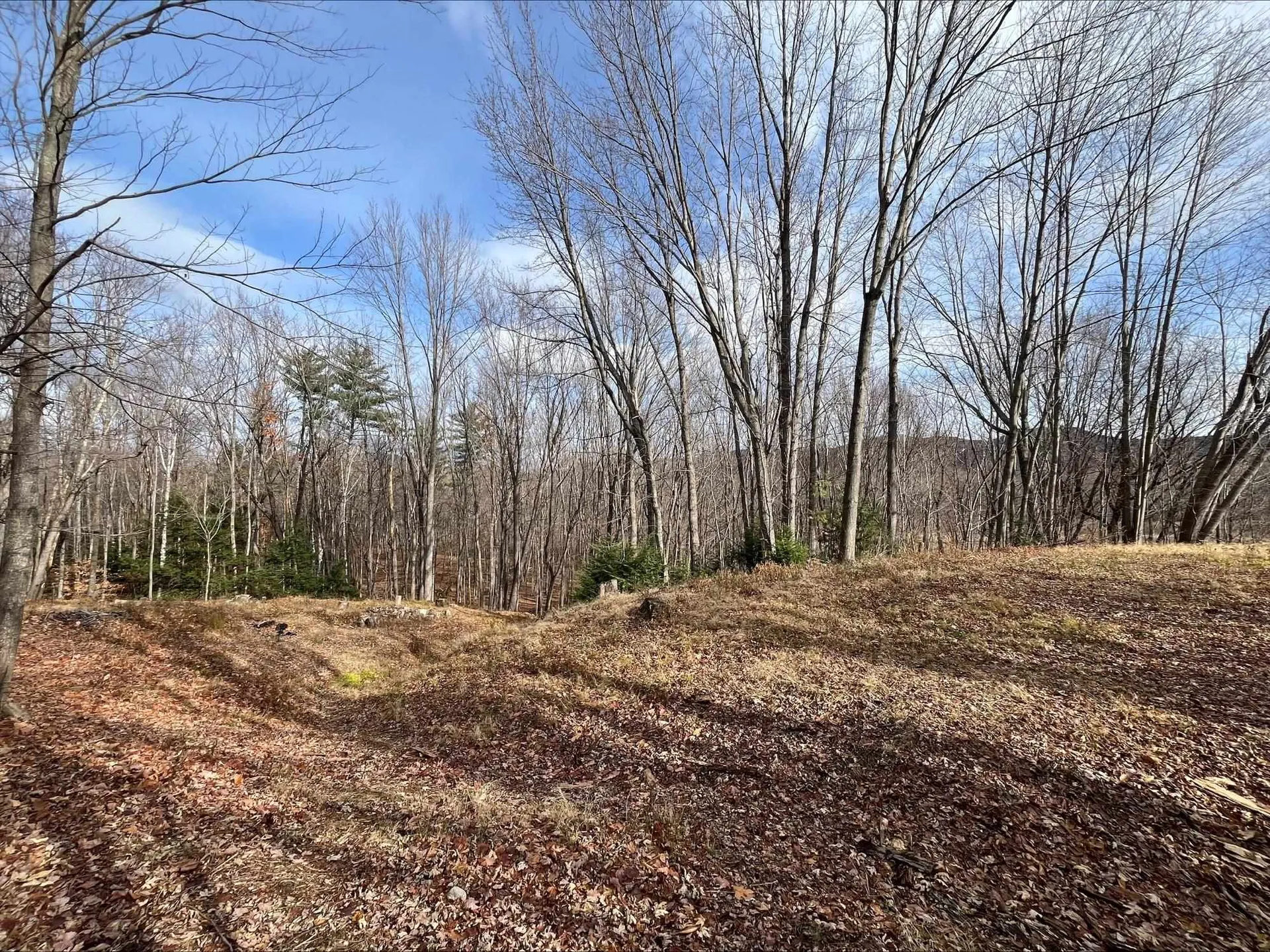 West Side Road Conway NH 03818