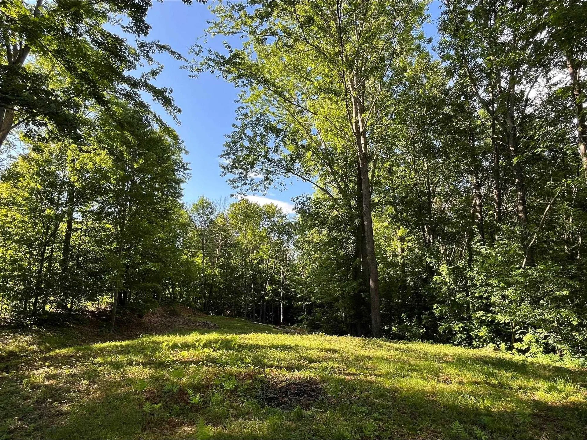 West Side Road Conway NH 03818