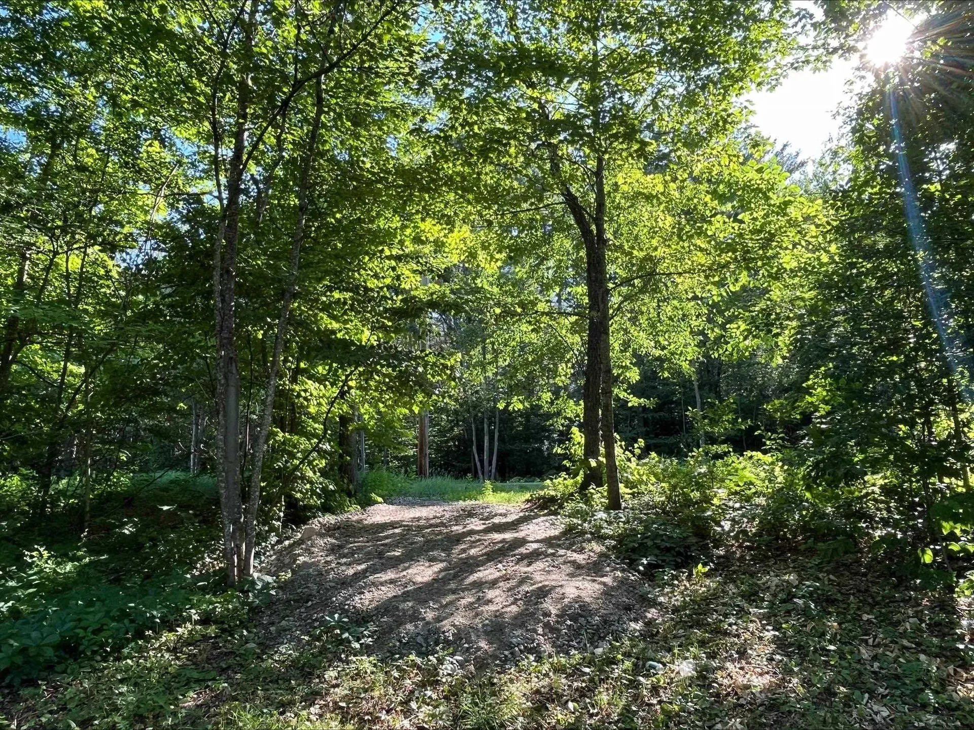 West Side Road Conway NH 03818