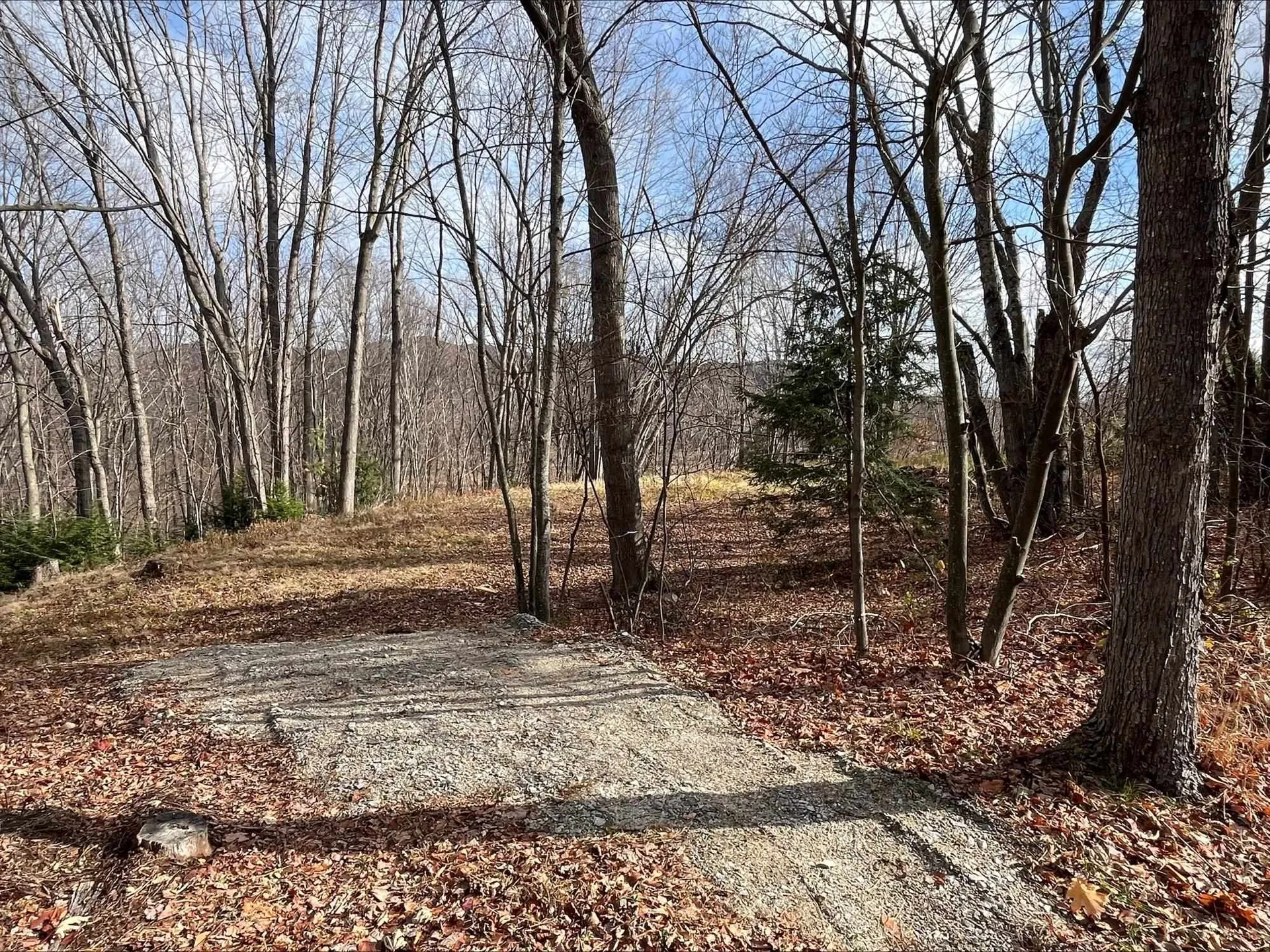 West Side Road Conway NH 03818