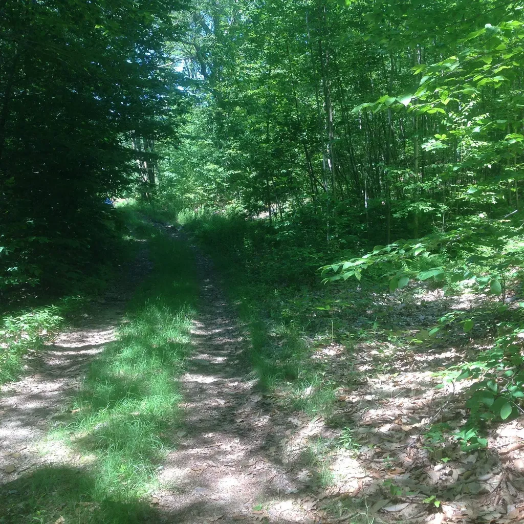 72-1 Frohock Brook Road Alton NH 03810