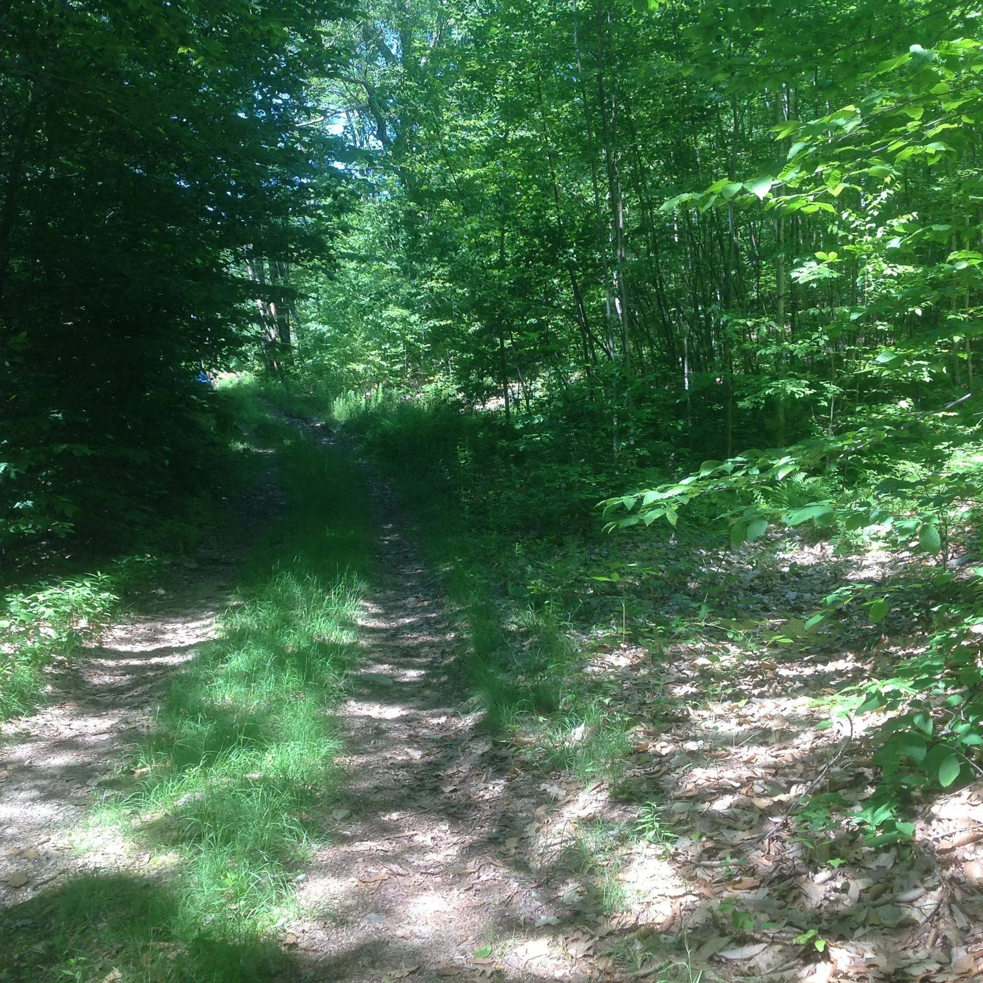 72-1 Frohock Brook Road Alton NH 03810