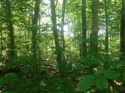 72-1 Frohock Brook Road Alton NH 03810