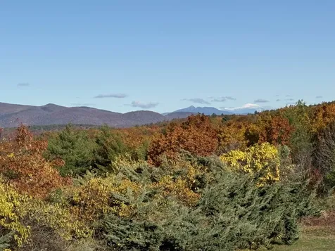 36 Blueberry Hill Road Wolfeboro NH 03894