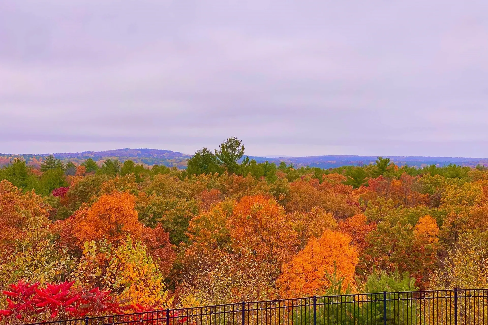 22 Ryan Farm Road Windham NH 03087