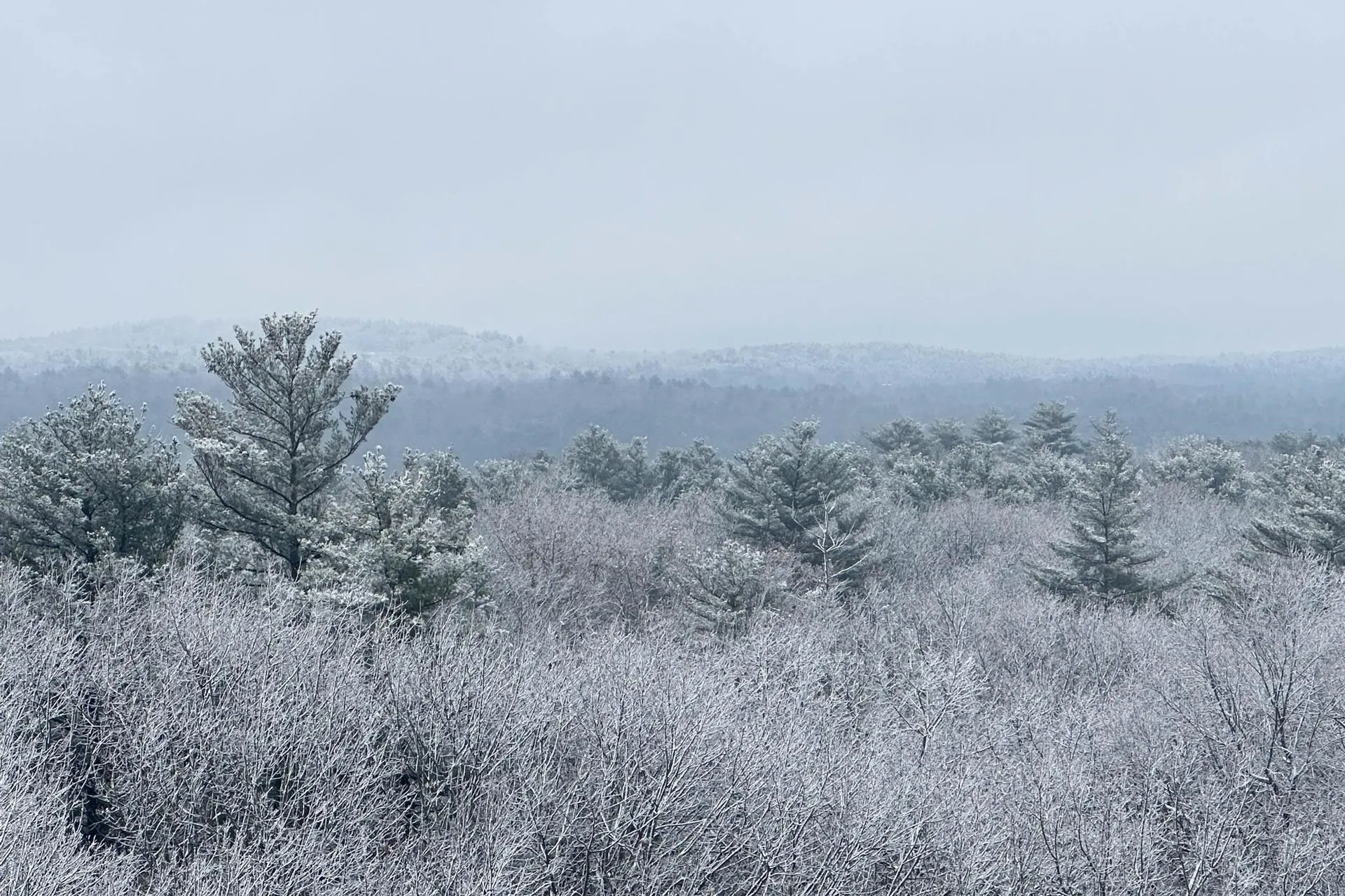 22 Ryan Farm Road Windham NH 03087