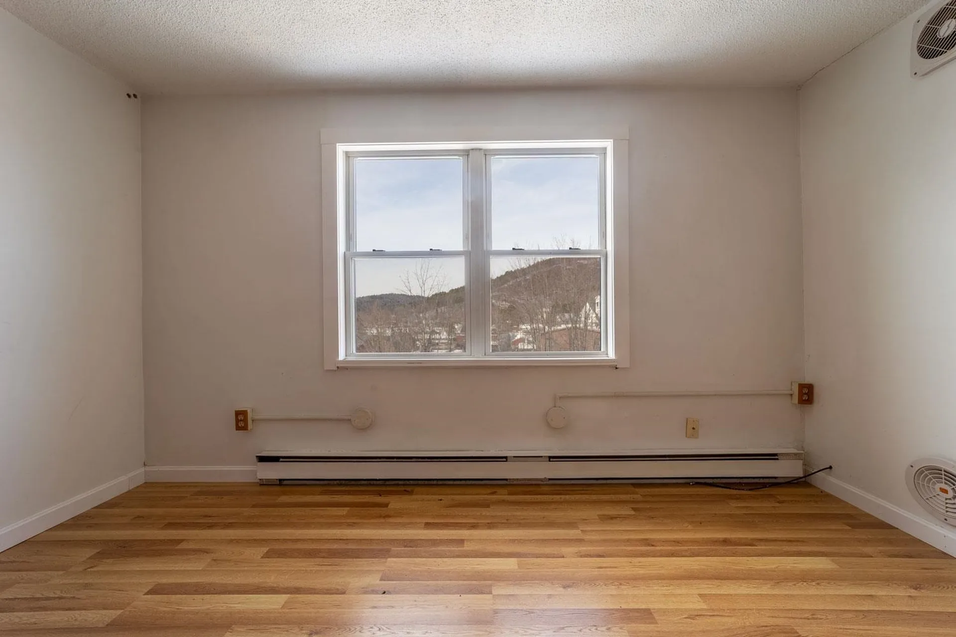 30 Beech Street Bristol NH 03222