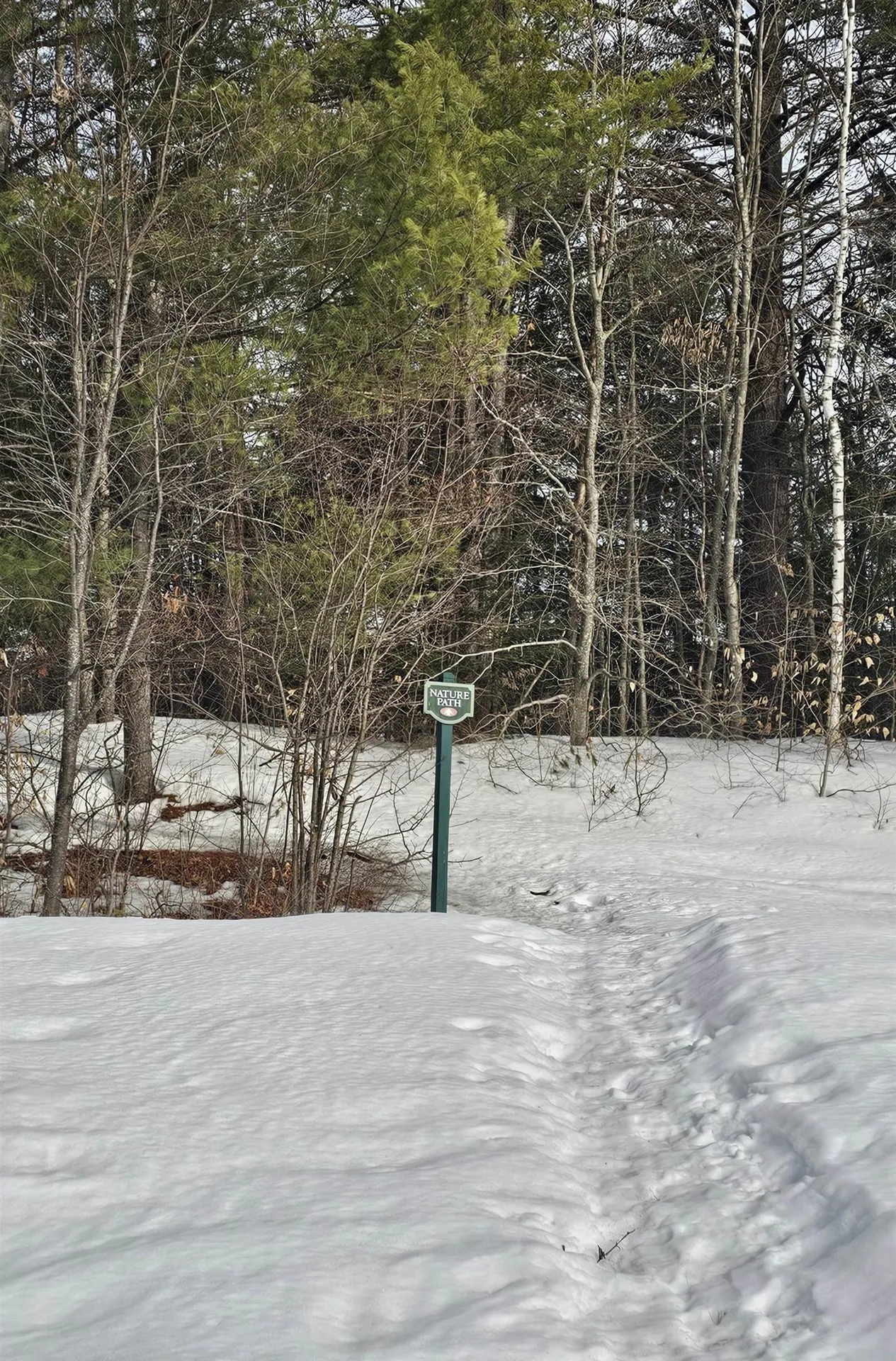 156 Deer Park Drive Woodstock NH 03262