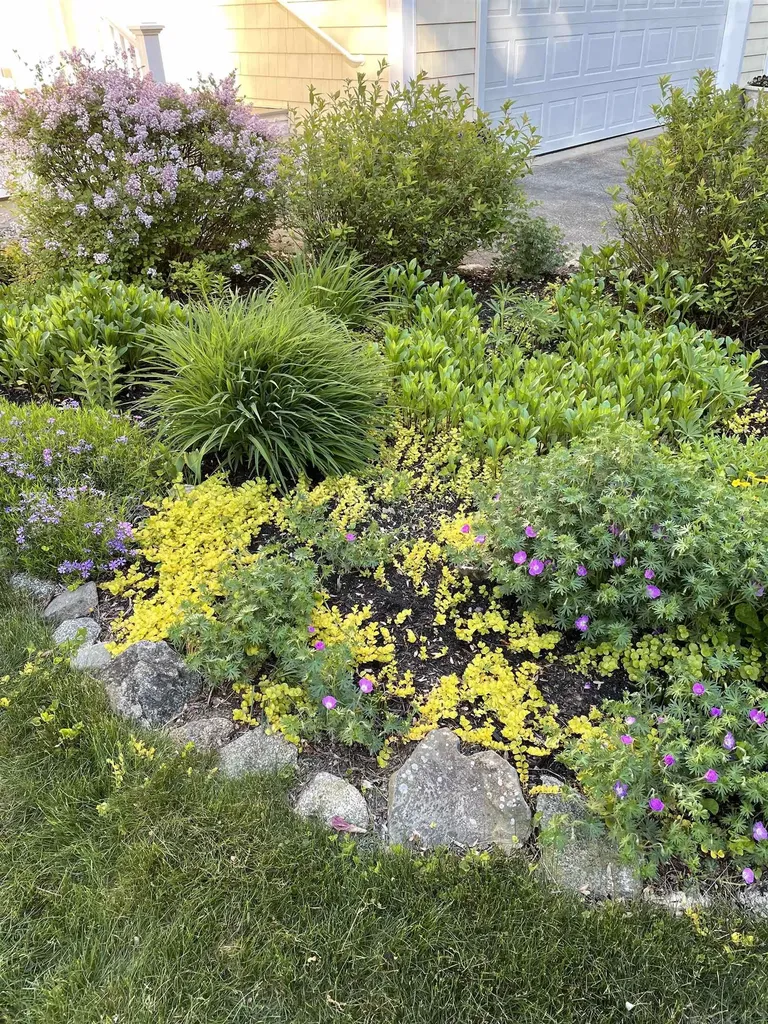 11 Vineyard Drive Stratham NH 03885