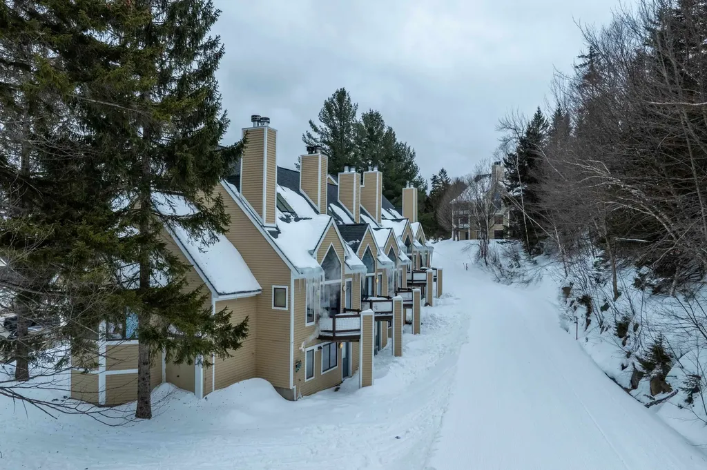 1C Townhouse Square Dover VT 05356