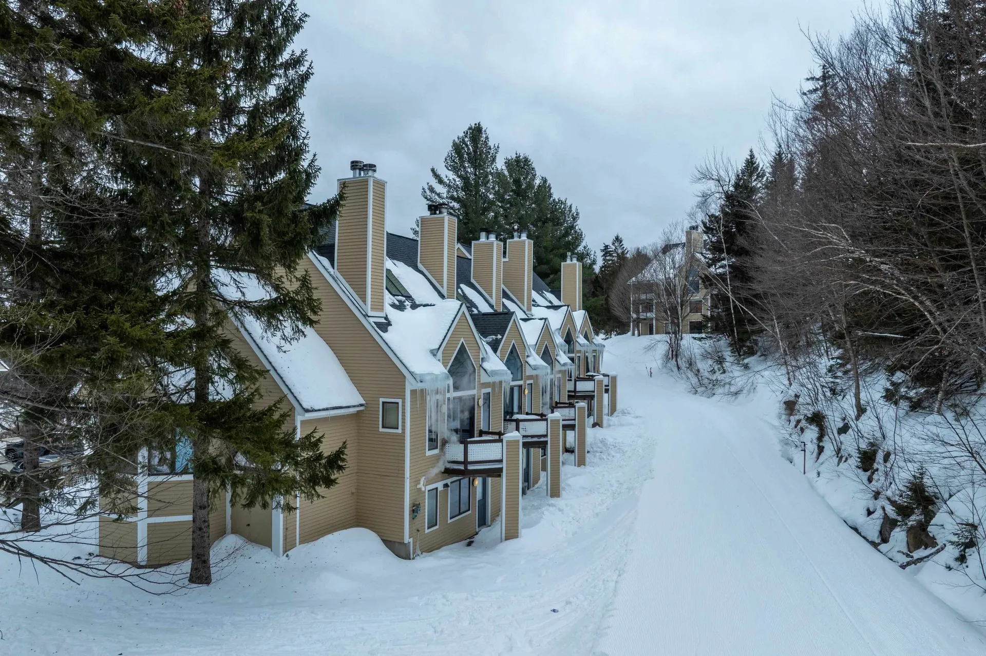 1C Townhouse Square Dover VT 05356