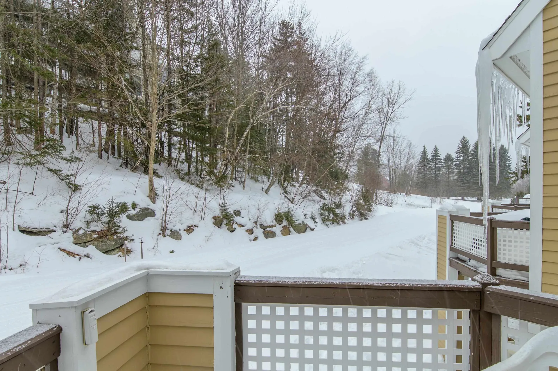 1C Townhouse Square Dover VT 05356