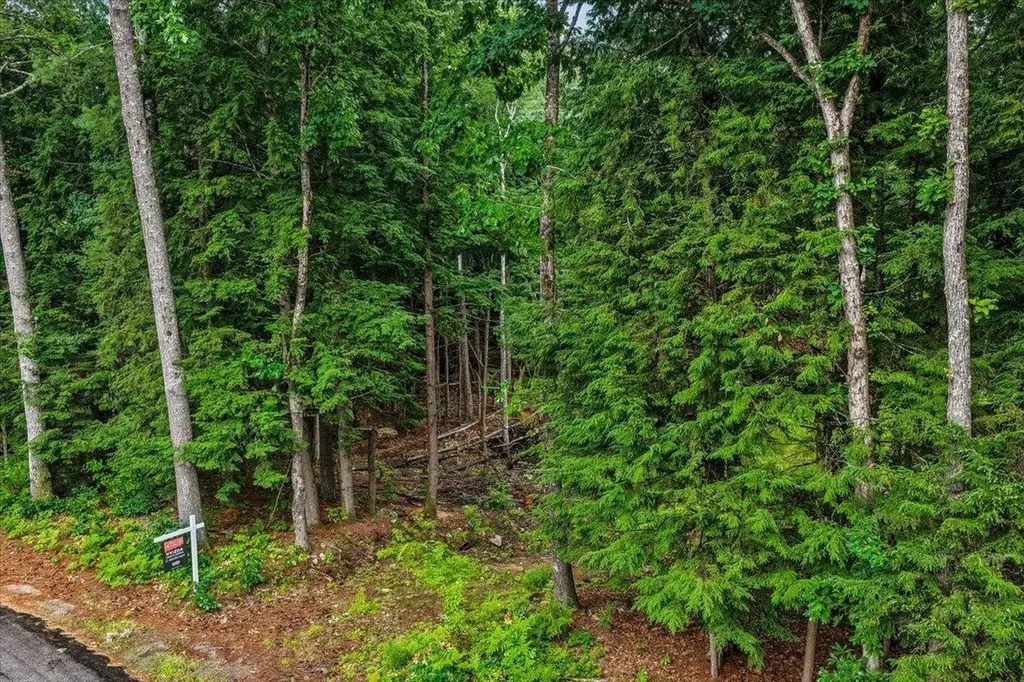 M10 L05 S37 Centennial Drive Webster NH 03303