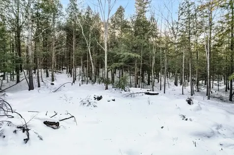 M10 L05 S37 Centennial Drive Webster NH 03303