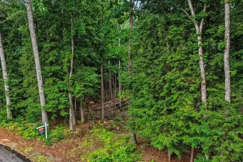 M10 L05 S37 Centennial Drive Webster NH 03303
