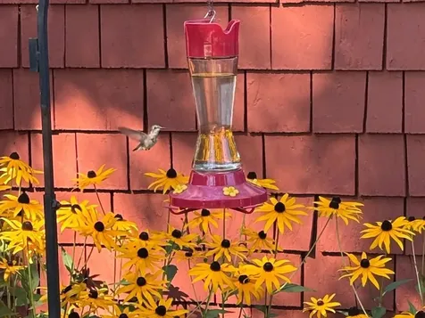 14 Colonial Square Peterborough NH 03458