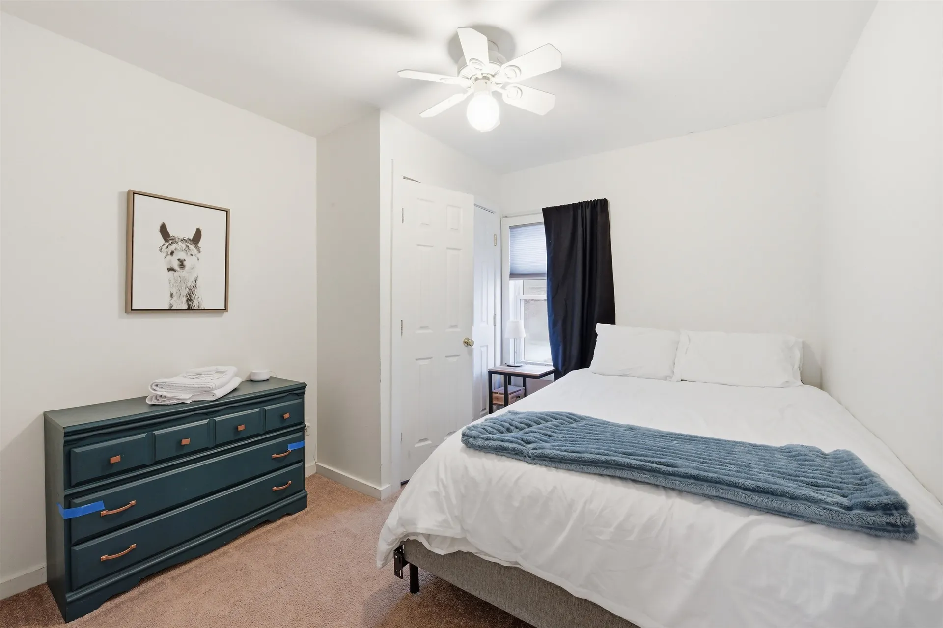 446 Colchester Avenue Burlington VT 05401