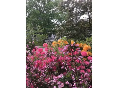 21 Clymer Street Burlington VT 05401