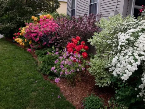 21 Clymer Street Burlington VT 05401