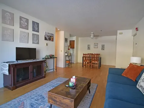 47 South Williams Street Burlington VT 05401