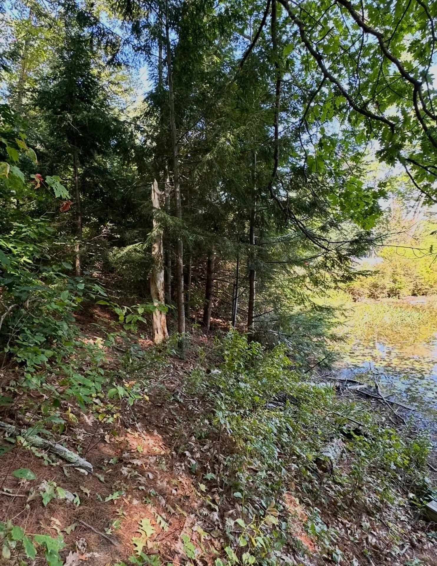 0 Beard Lane Grafton NH 03240