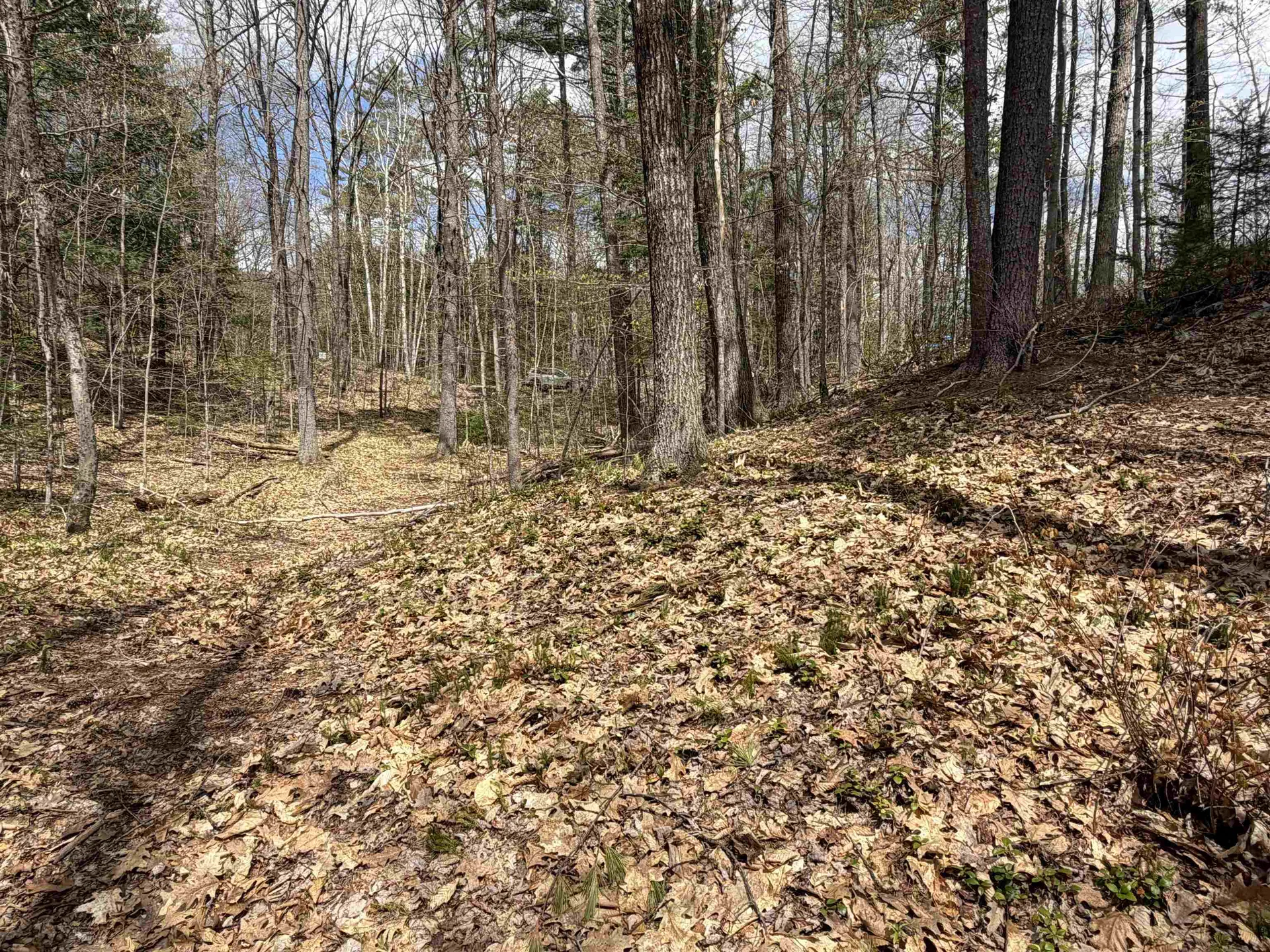 0 Beard Lane Grafton NH 03240