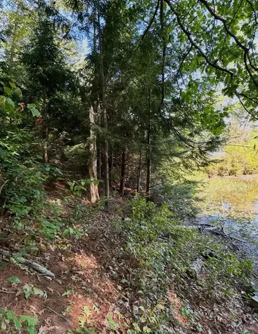 0 Beard Lane Grafton NH 03240