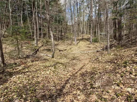0 Beard Lane Grafton NH 03240