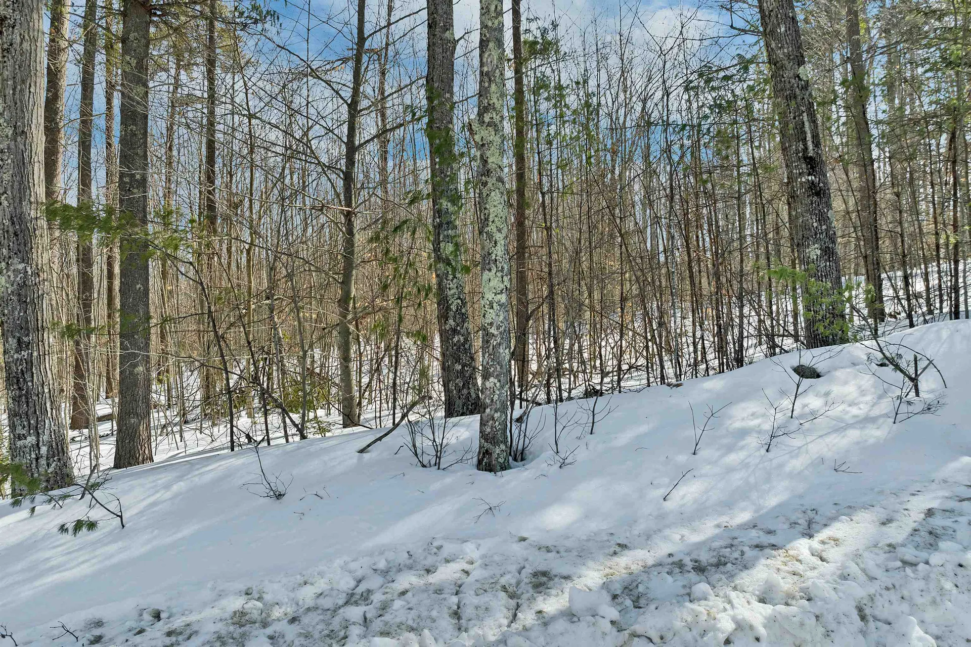 Lot 5b Phineas Graves Road Tuftonboro NH 03816