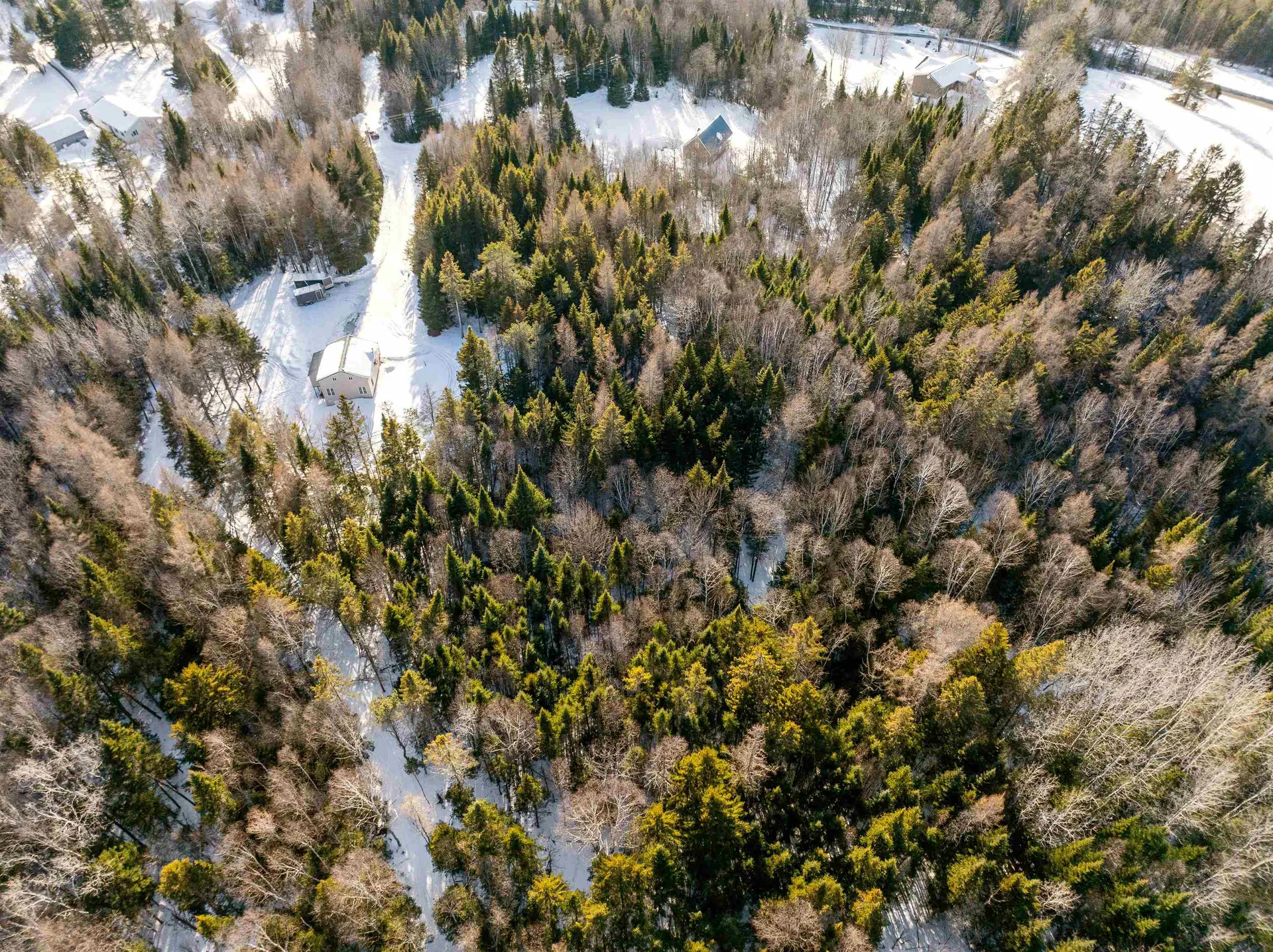 Lot #10 Mackinnon Road Colebrook NH 03576