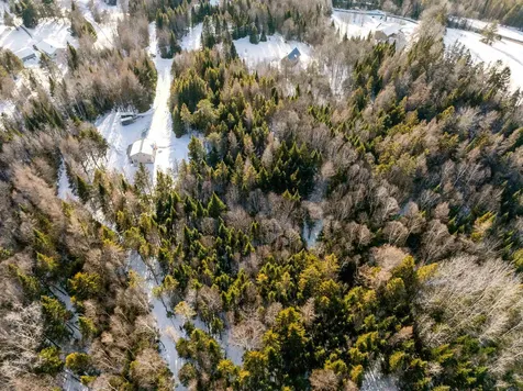 Lot #10 Mackinnon Road Colebrook NH 03576