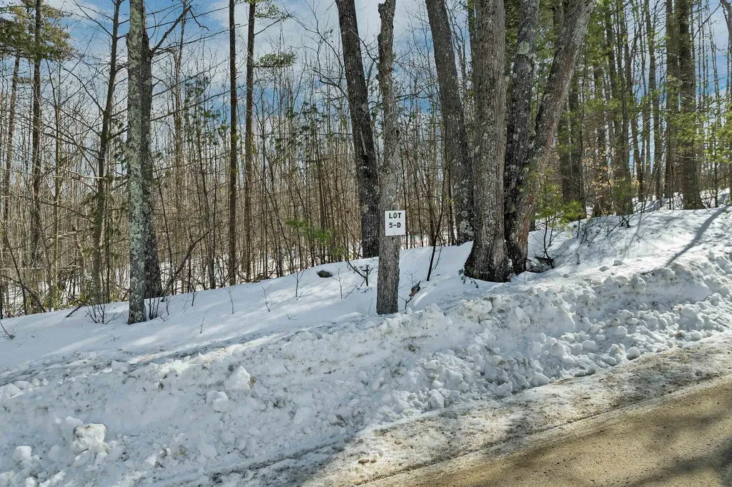 Lot 5a Phineas Graves Road Tuftonboro NH 03816
