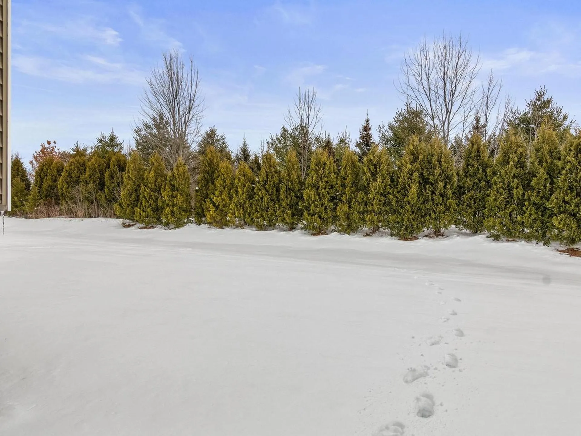 35 Sommerfield Avenue South Burlington VT 05403