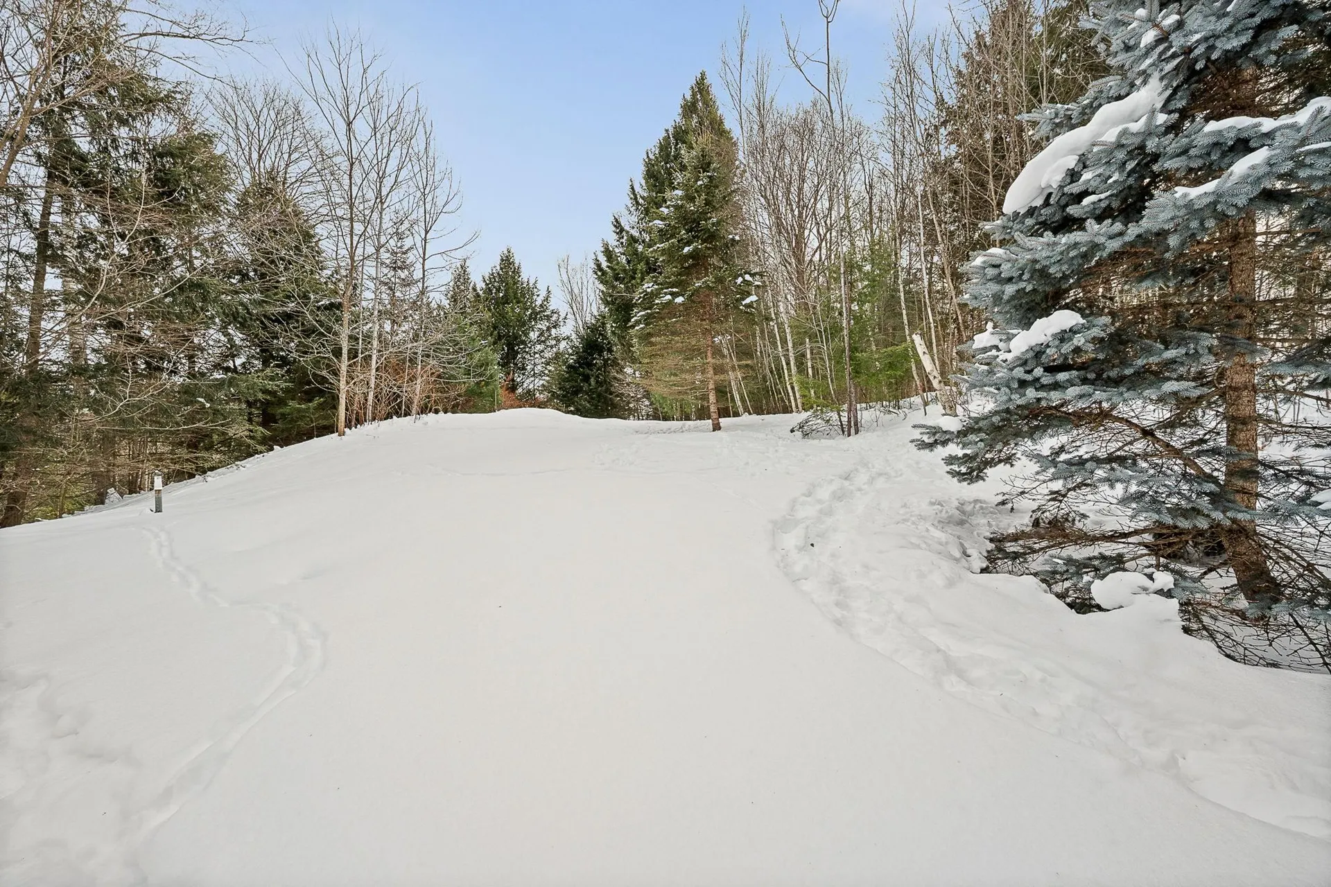 196 Countryside Road Waterbury VT 05676
