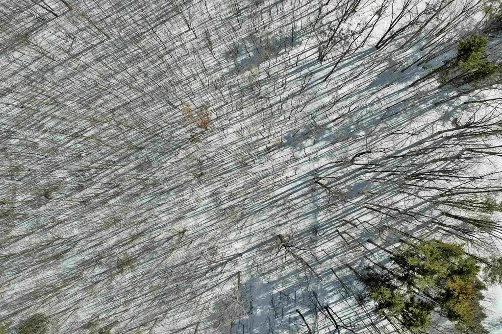 Lot 5c Phineas Graves Road Tuftonboro NH 03816