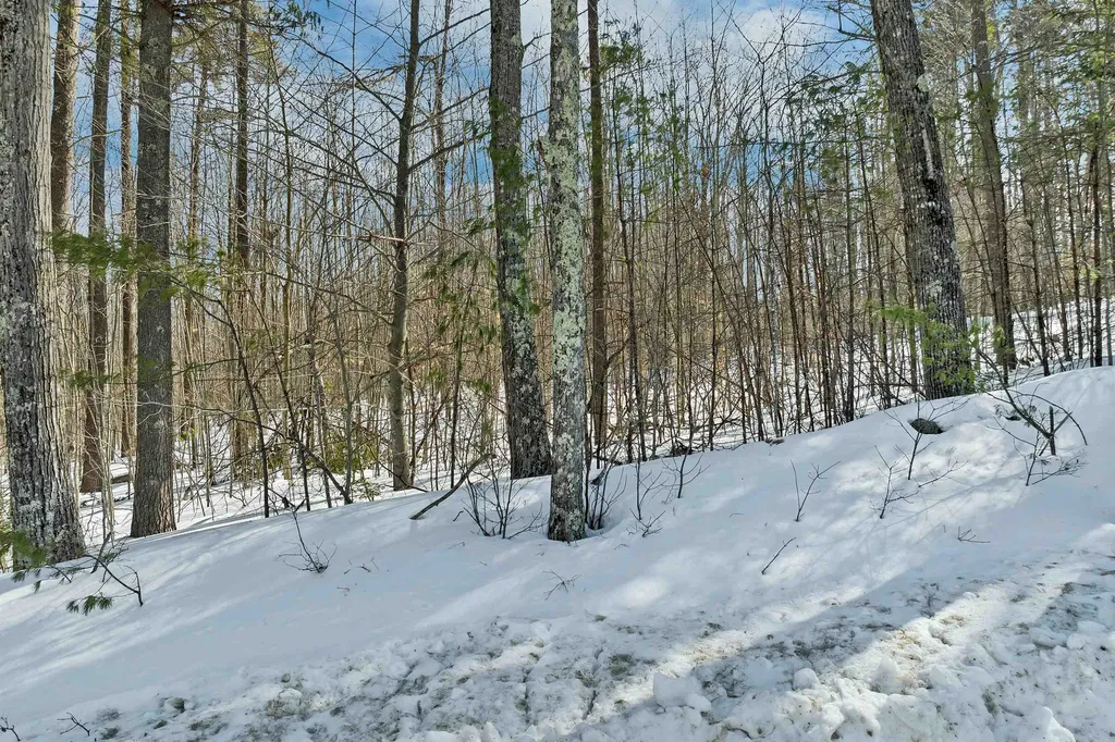 Lot 5c Phineas Graves Road Tuftonboro NH 03816