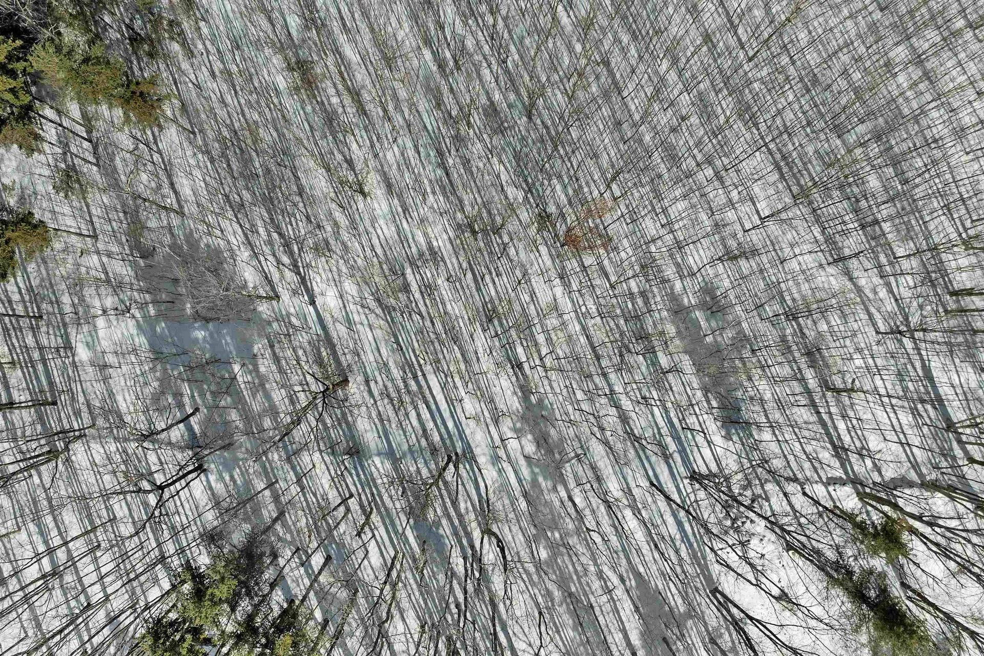 Lot 5c Phineas Graves Road Tuftonboro NH 03816