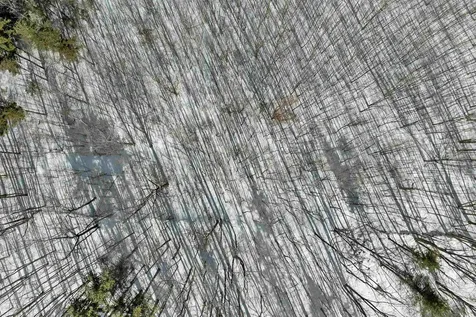 Lot 5c Phineas Graves Road Tuftonboro NH 03816