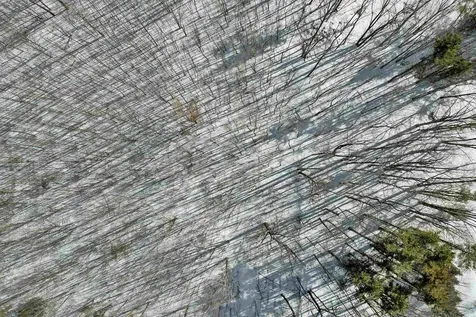 Lot 5c Phineas Graves Road Tuftonboro NH 03816