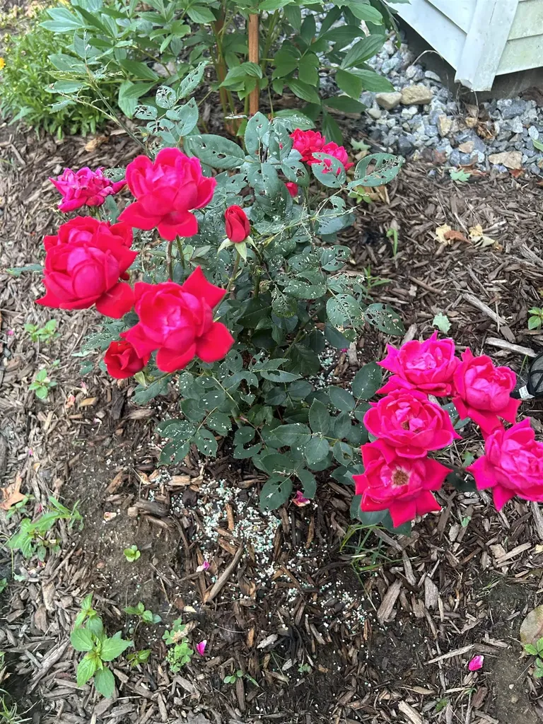 336 New Hampton Road Franklin NH 03235