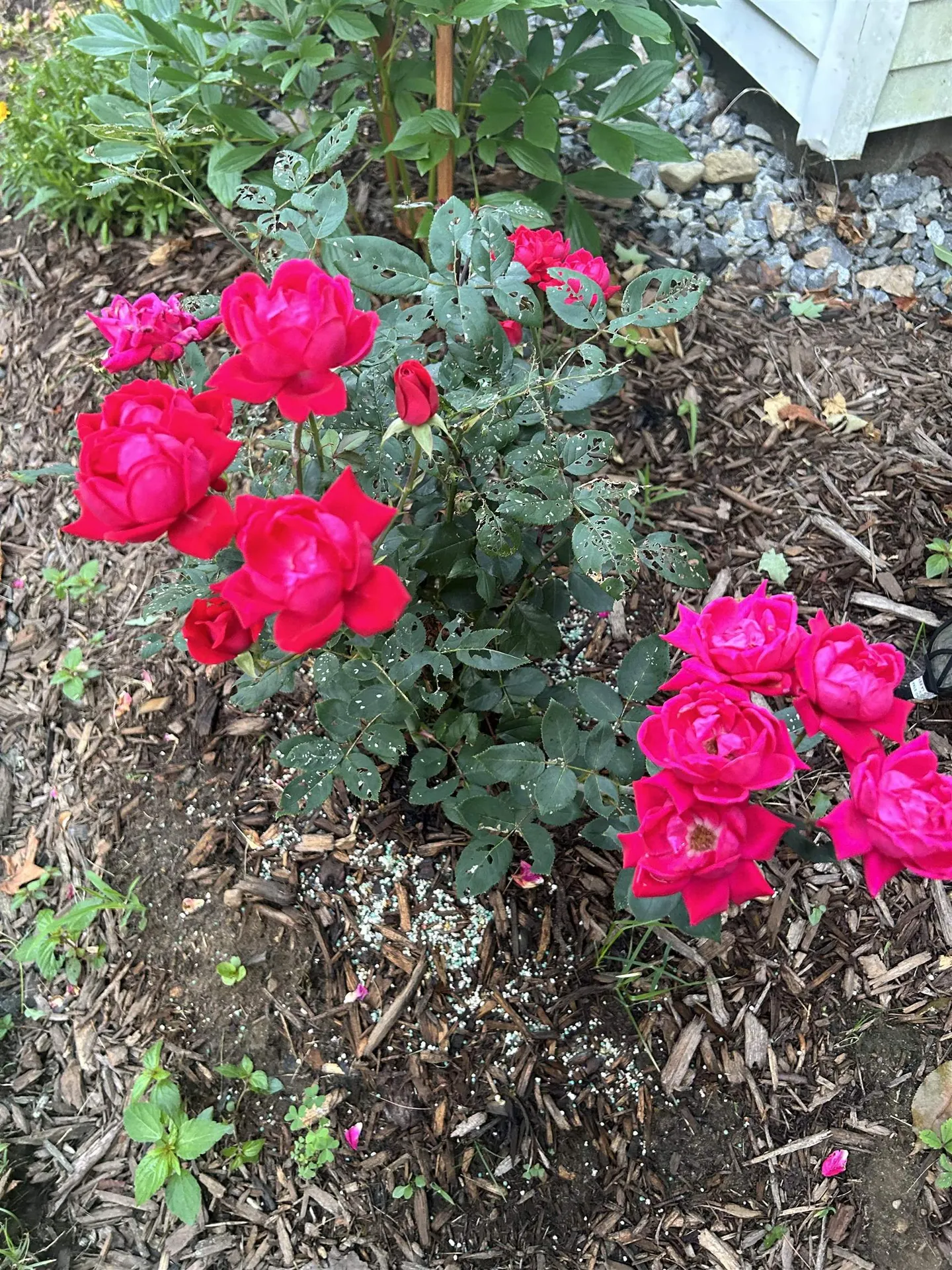 336 New Hampton Road Franklin NH 03235