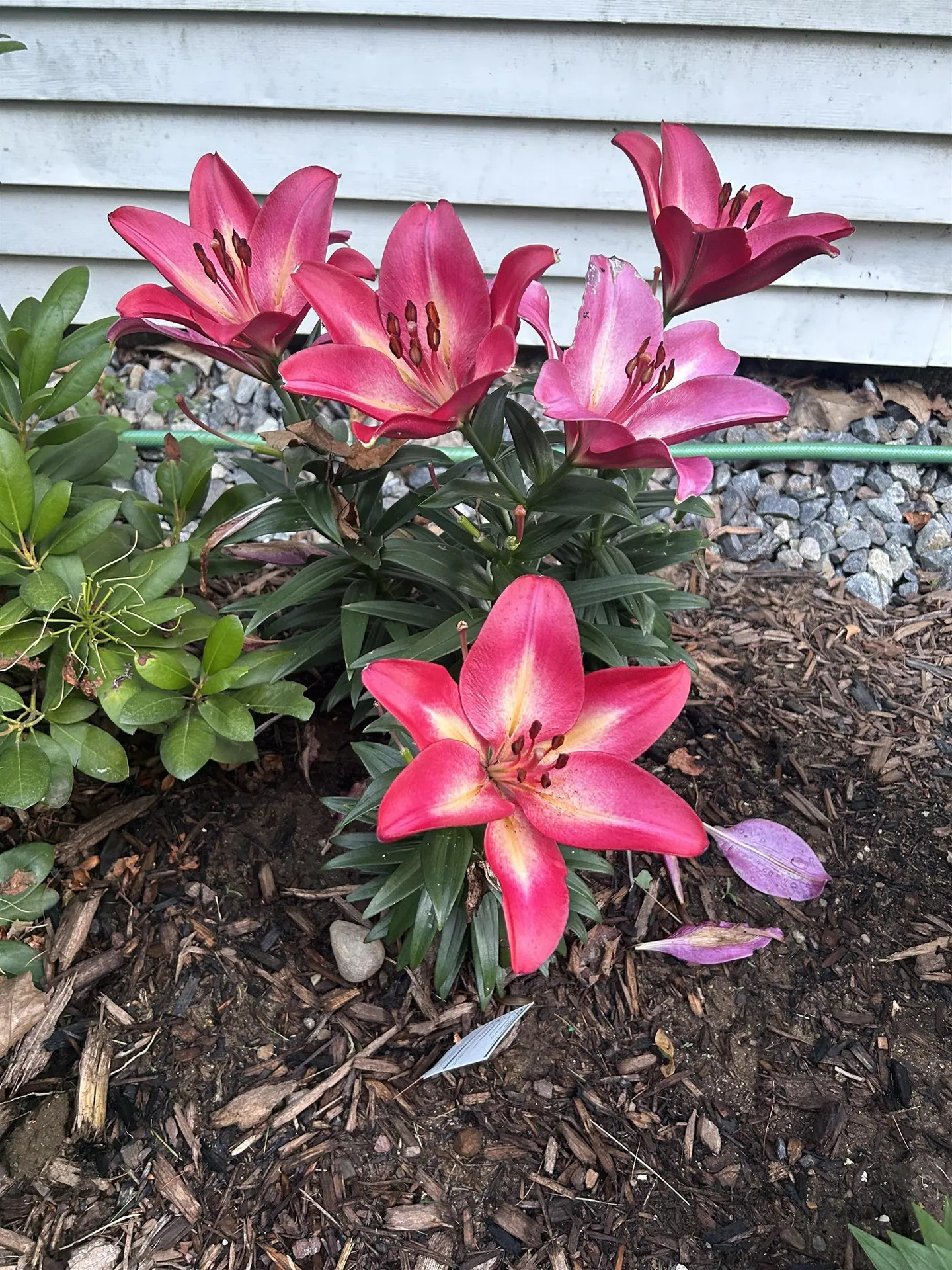 336 New Hampton Road Franklin NH 03235