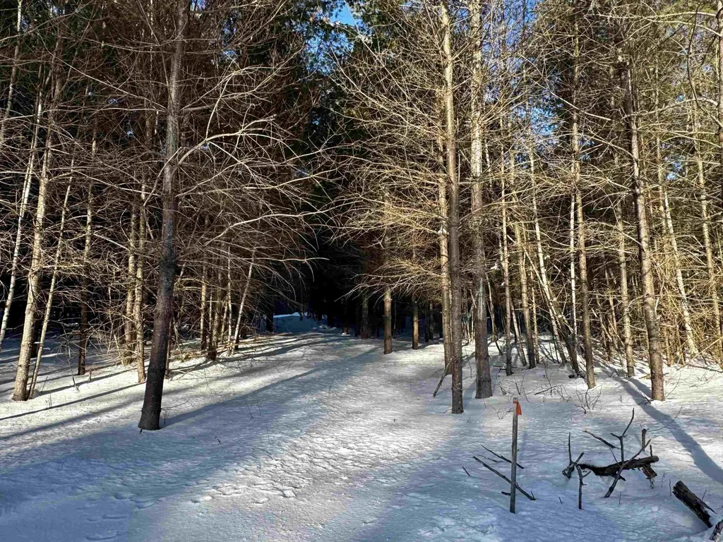 19 Lodge Lane Haverhill NH 03785