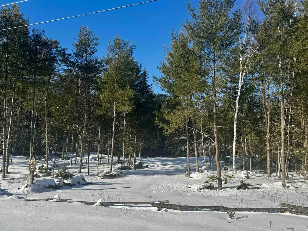 19 Lodge Lane Haverhill NH 03785