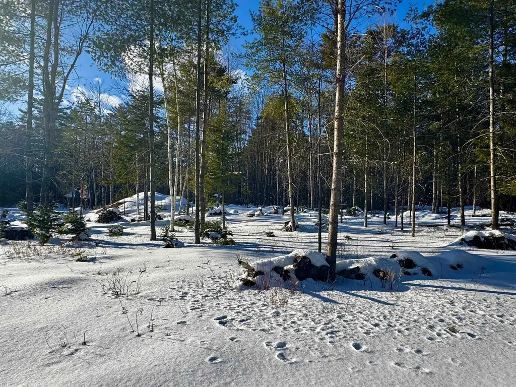 19 Lodge Lane Haverhill NH 03785