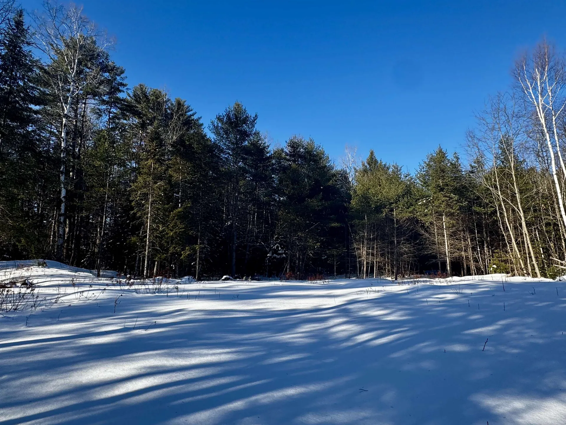 19 Lodge Lane Haverhill NH 03785