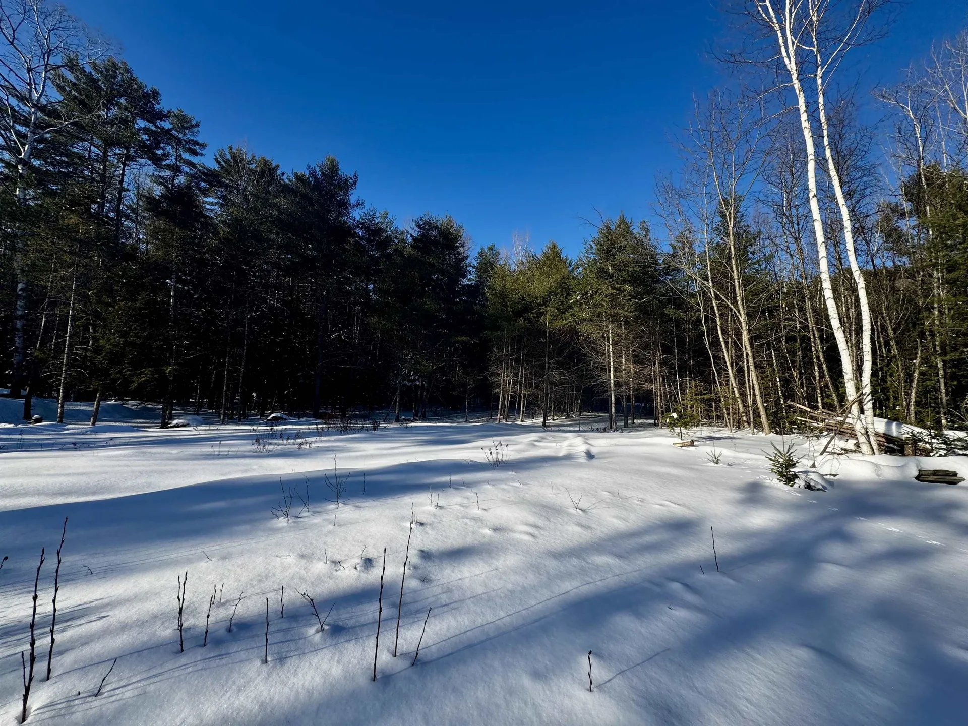 19 Lodge Lane Haverhill NH 03785