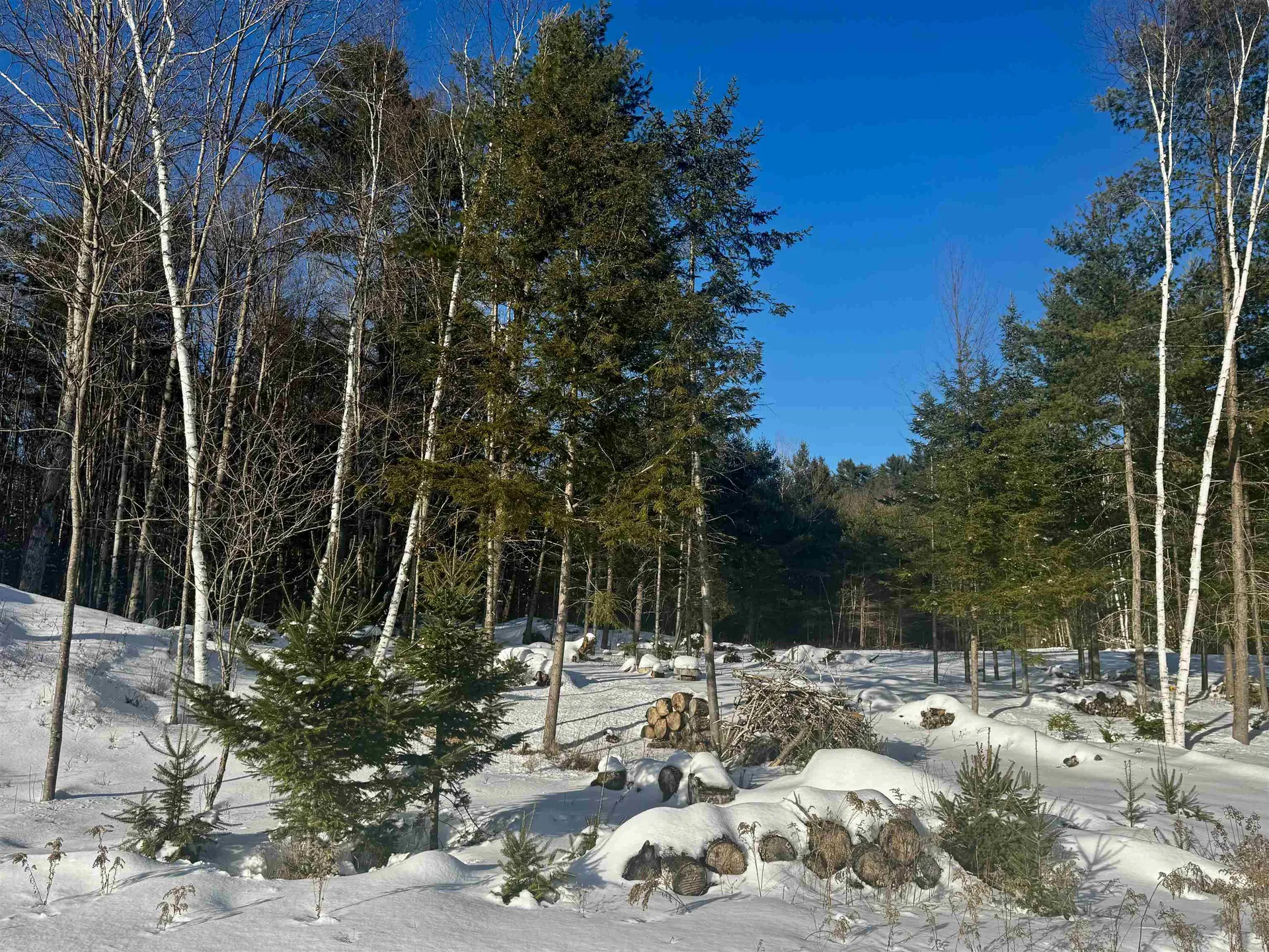 19 Lodge Lane Haverhill NH 03785