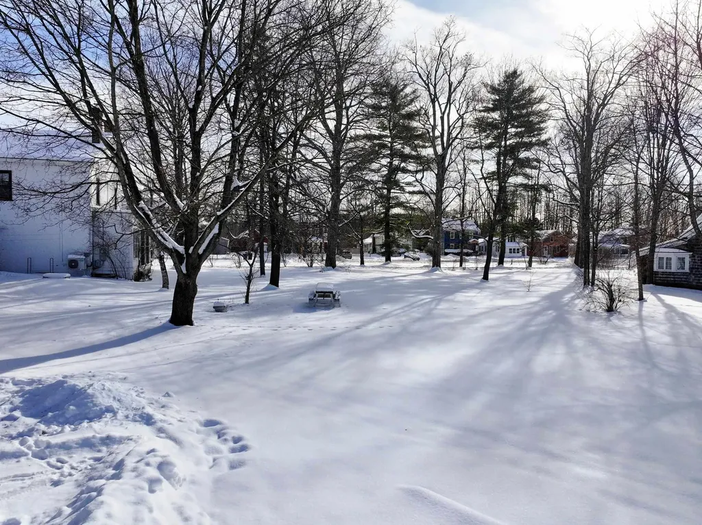 5 Pearl Street Brandon VT 05733